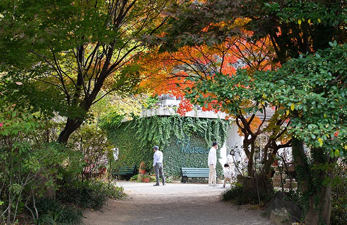폐교가 담은 감성, 그리고 예술 아미 미술관