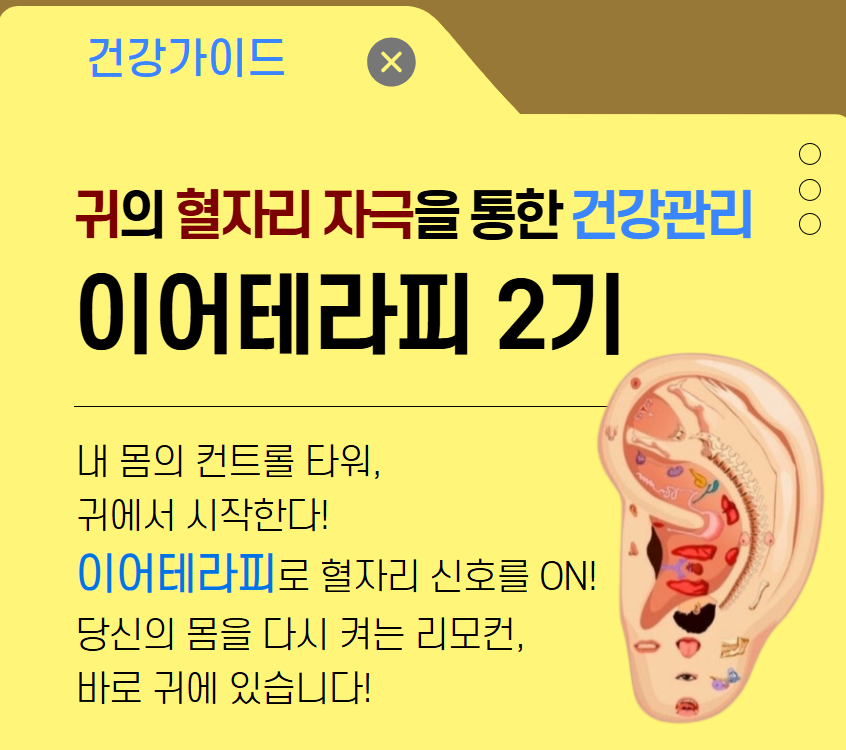 귀의 혈자리를 자극을 통한 건강관리:이어테라피 2기